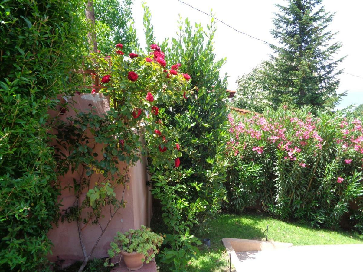 Apartment Golf Dojran Exterior photo
